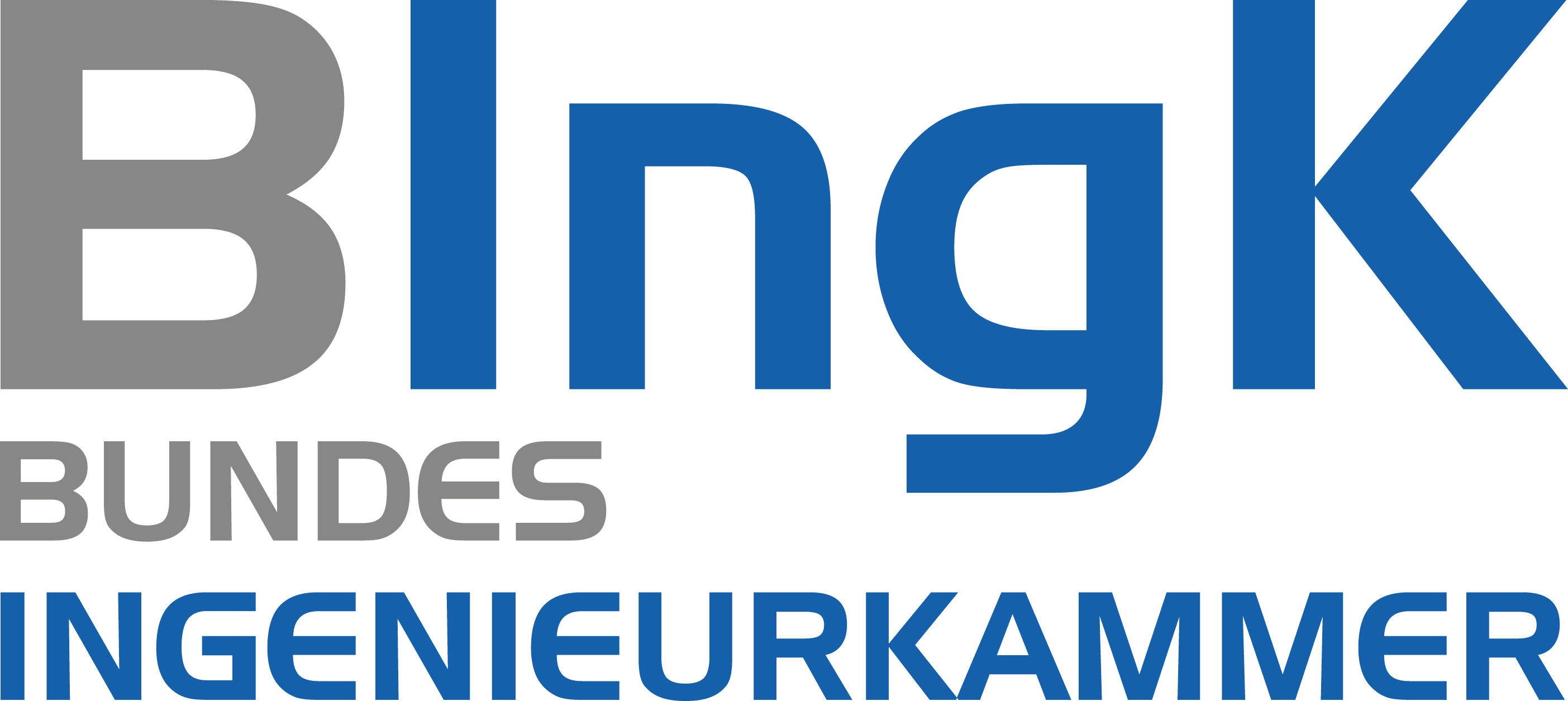 Logo_BIngK_farbig_RGB